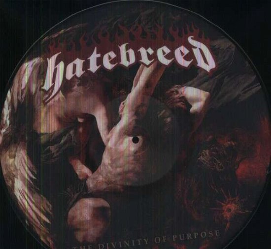 Cover for Hatebreed · Divinity of Purpose (LP) [Picture Disc edition] (2013)