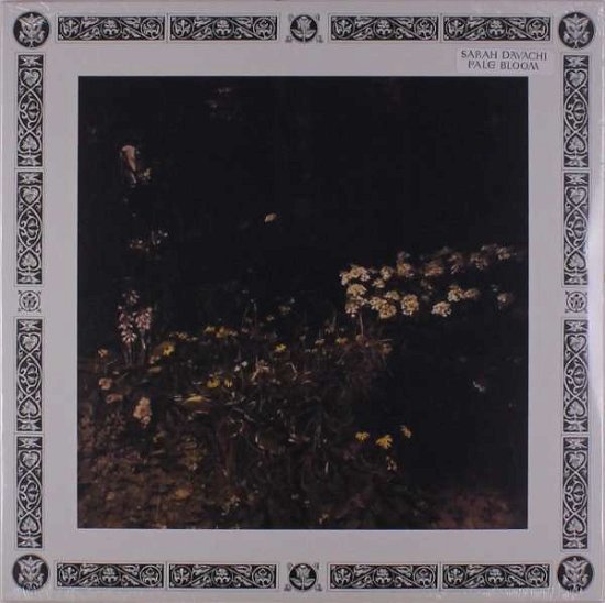 Cover for Sarah Davachi · Pale Bloom (LP) (2019)