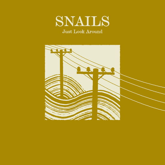 Cover for Snails · Just Look Around (LP) (2025)