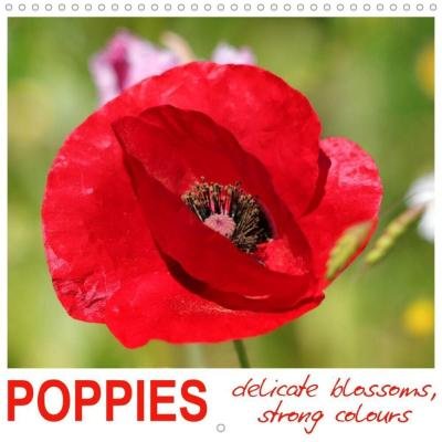 Poppies, delicate blossoms, stron - Löwer - Bøger -  - 9781325628216 - 