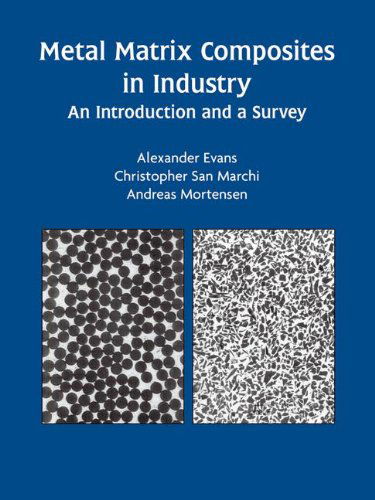 Metal Matrix Composites in Industry: An Introduction and a Survey - Alexander Evans - Books - Springer-Verlag New York Inc. - 9781402075216 - August 31, 2003