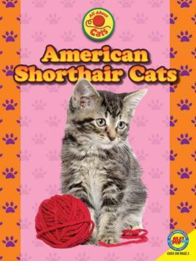 Cover for Nancy Furstinger · American Shorthair Cats (Paperback Book) (2017)