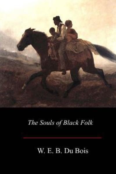 The Souls of Black Folk - W E B Du Bois - Libros - Createspace Independent Publishing Platf - 9781548270216 - 10 de julio de 2017
