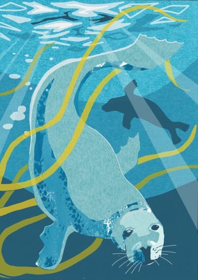 Cover for Jane Smith · Nature Notebook: Seal (Schreibwaren) (2023)