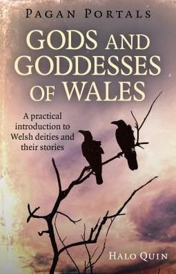 Cover for Halo Quin · Pagan Portals - Gods and Goddesses of Wales: A practical introduction to Welsh deities and their stories (Paperback Book) (2019)