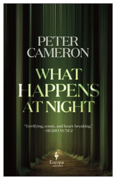 Cover for Peter Cameron · What Happens at Night (Pocketbok) (2021)