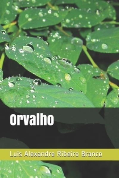Cover for Luis Alexandre Ribeiro Branco · Orvalho (Pocketbok) (2018)