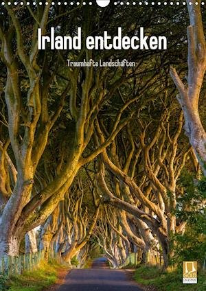 Cover for Ringer · Irland entdecken (Wandkalender 2 (Buch)