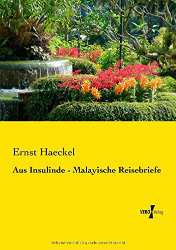 Aus Insulinde - Malayische Reisebriefe - Ernst Haeckel - Kirjat - Vero Verlag - 9783737201216 - maanantai 11. marraskuuta 2019