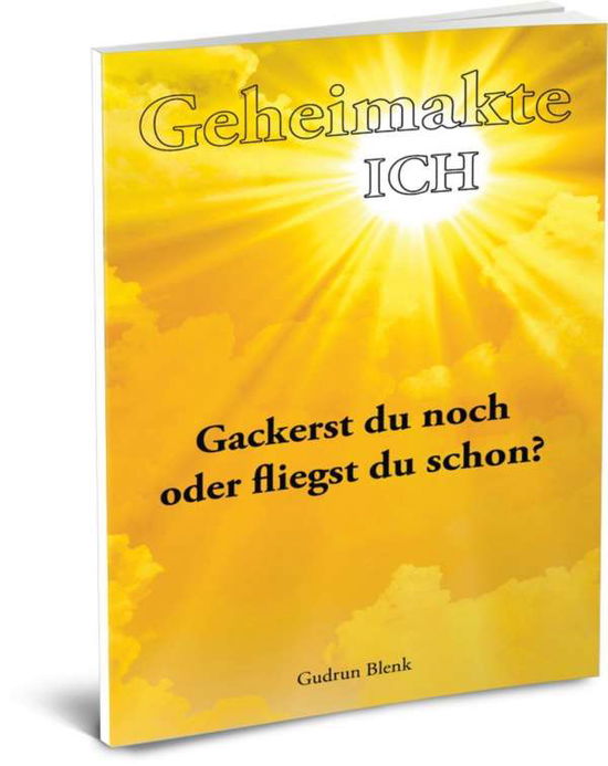 Cover for Blenk · Geheimakte ICH (Book) (2018)