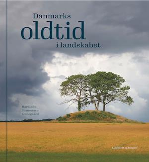 Cover for Marianne Rasmussen Lindegaard · Danmarks oldtid i landskabet (Gebundesens Buch) [1. Ausgabe] (2019)