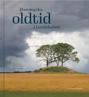 Cover for Marianne Rasmussen Lindegaard · Danmarks oldtid i landskabet (Bound Book) [1th edição] (2019)