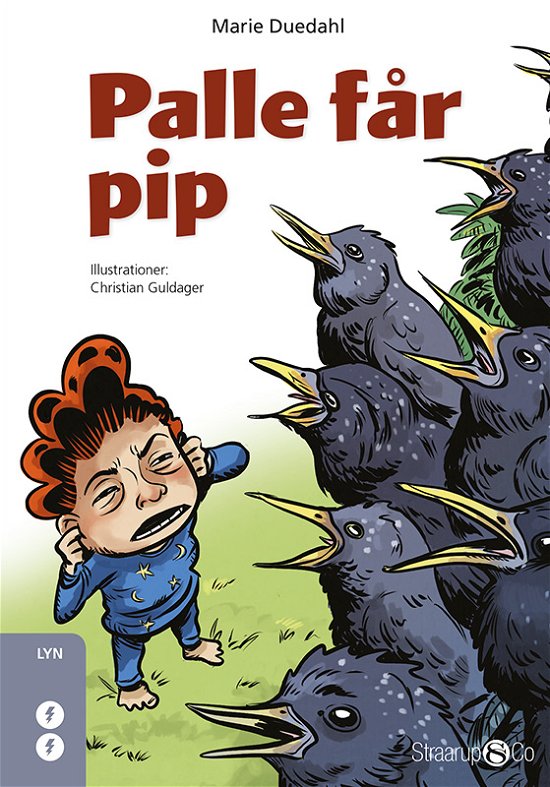 Cover for Marie Duedahl · Lyn: Palle får pip (Innbunden bok) [1. utgave] (2017)