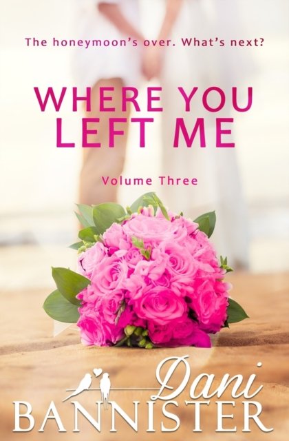 Cover for Dani Bannister · Where You Left Me, Vol. 3: A Lust to Lovers Romance (Paperback Book) (2022)