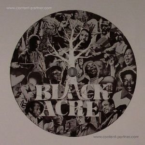 Meditations on Afrocentrism - Romare - Music - blackacre records - 9952381767216 - March 16, 2012
