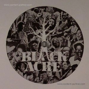 Meditations on Afrocentrism - Romare - Musiikki - blackacre records - 9952381767216 - perjantai 16. maaliskuuta 2012