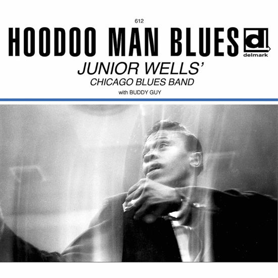 Hoodoo Man Blues - Junior Wells - Muziek - ANALOGUE PRODUCTIONS - 0038153161217 - 30 juni 1990