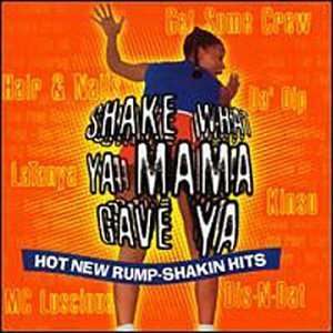 Cover for Shake What Ya Mama Gave Ya / Various (CD) (1999)