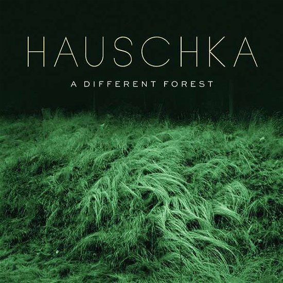 Cover for Hauschka · A Different Forest (LP) (2019)