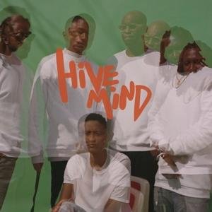 Cover for The Internet · Hive Mind (LP) (2018)