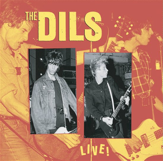Cover for The Dils · Live (+ Cd) (LP) (2022)