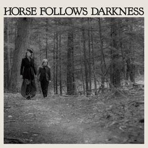 Cover for Delia Gonzalez · Horse Follows Darkness (LP) [Standard edition] (2017)