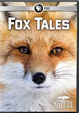 Nature: Fox Tales - Nature: Fox Tales - Filme - ACP10 (IMPORT) - 0841887035217 - 19. Dezember 2017