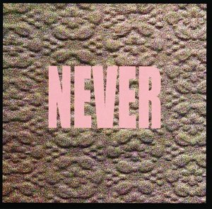 Never - Micachu And The Shapes - Musik - ROUGH TRADE - 0883870064217 - 19. Juli 2012