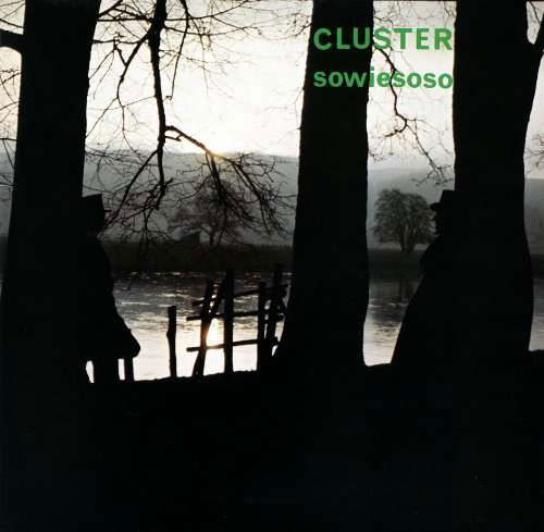 Cover for Cluster · Sowiesoso (LP) [Reissue edition] (2016)