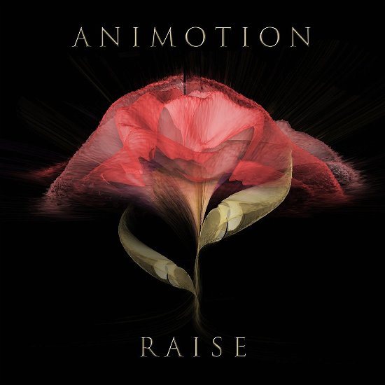 Cover for Animotion · Raise Your Expectations (LP) (2016)