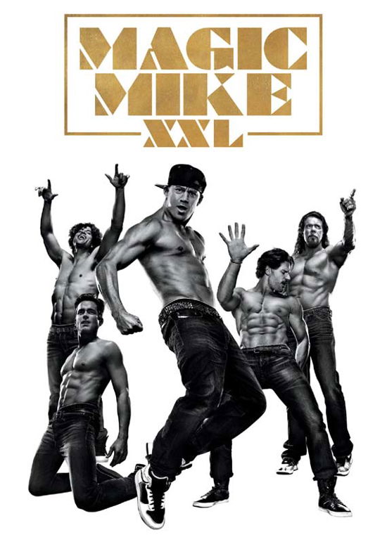 Cover for Magic Mike 2 Dvds · Magic Mike 2 - XXL (DVD) (2015)