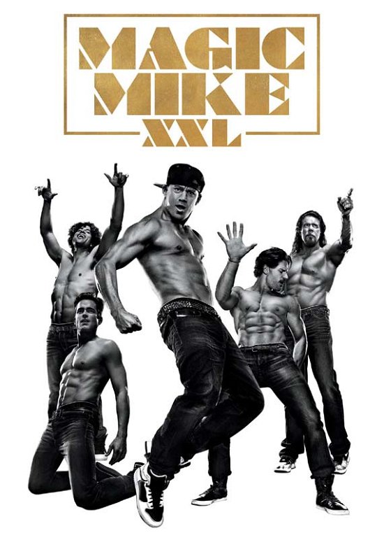Cover for Magic Mike 2 Dvds · Magic Mike XXL (DVD) (2015)