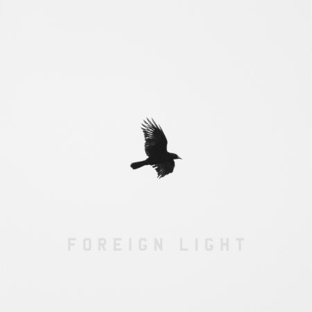 Cover for Toddla T · Foreign Light (LP) (2017)