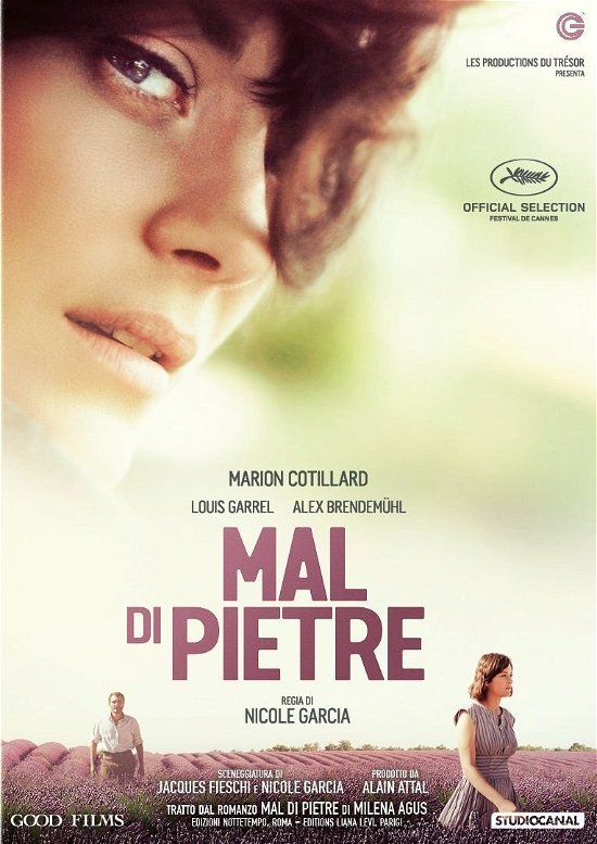 Cover for Mal Di Pietre (DVD) (2017)