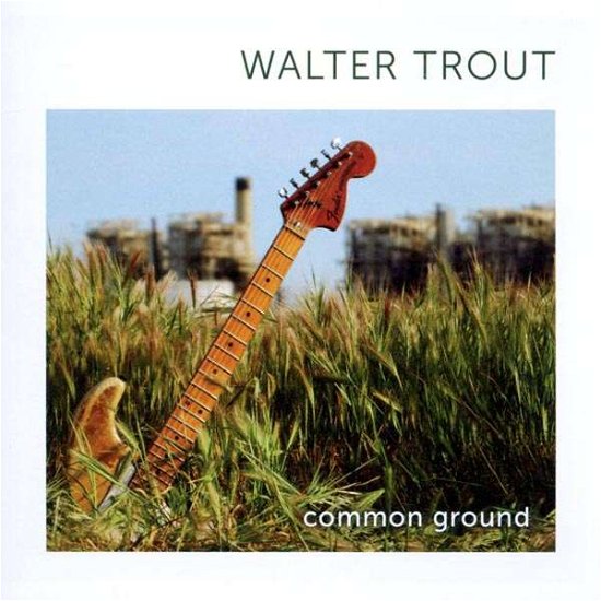 Common Ground - Walter Trout - Music - PROVOGUE - 8712725730217 - July 8, 2010