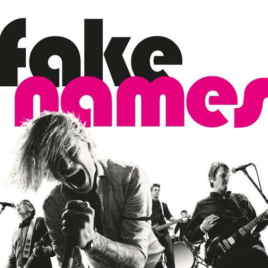 Cover for Fake Names (LP) (2022)