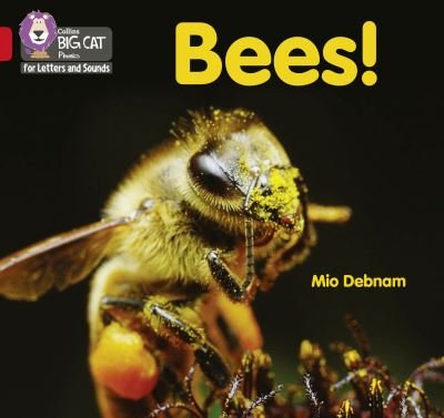 Cover for Mio Debnam · Bees!: Band 02b/Red B - Collins Big Cat Phonics for Letters and Sounds (Paperback Bog) (2021)