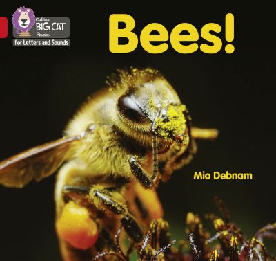 Cover for Mio Debnam · Bees!: Band 02b/Red B - Collins Big Cat Phonics for Letters and Sounds (Paperback Book) (2021)