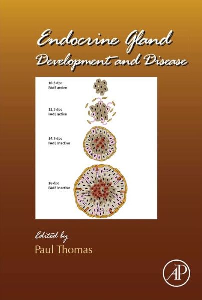 Endocrine Gland Development and Disease - Paul Thomas - Kirjat - Elsevier Science Publishing Co Inc - 9780124160217 - tiistai 17. joulukuuta 2013