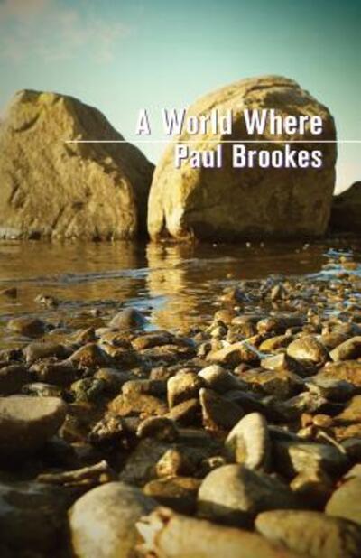 Cover for Paul Brookes · A World Where (Paperback Book) (2017)