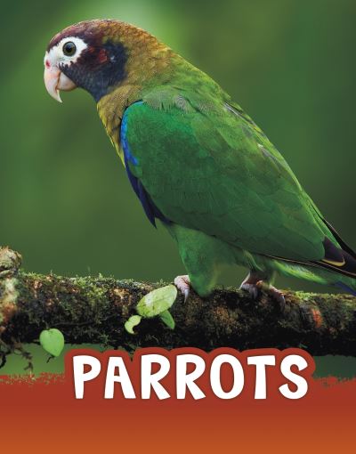 Cover for Mari Schuh · Parrots - Animals (Paperback Book) (2021)