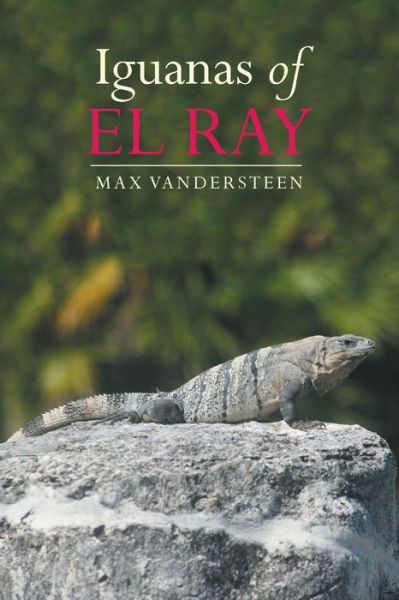 Cover for Max Vandersteen · Iguanas of El Ray (Paperback Book) (2013)