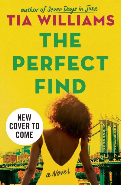 Cover for Tia Williams · Perfect Find (Book) (2023)