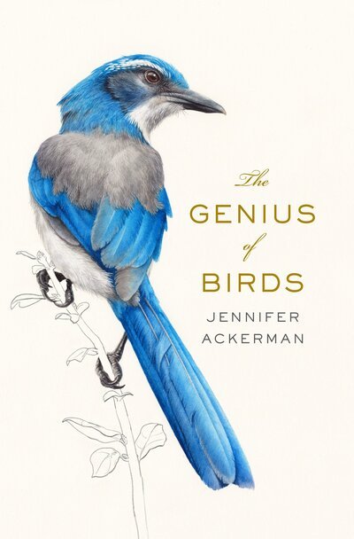 Cover for Jennifer Ackerman · The genius of birds (Bok) (2016)