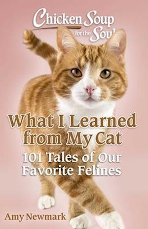 Cover for Amy Newmark · Chicken Soup for the Soul: What I Learned from My Cat: 101 Tales of Our Favorite Felines (Paperback Book) (2025)