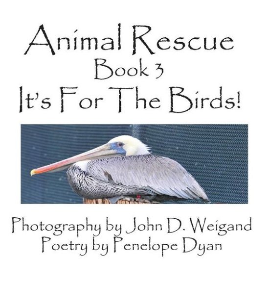 Cover for Penelope Dyan · Animal Rescue, Book 3, It's for the Birds! (Picture Book) (Hardcover Book) (2015)