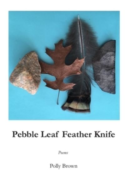 Cover for Polly Brown · Pebble Leaf Feather Knife (Paperback Book) (2019)