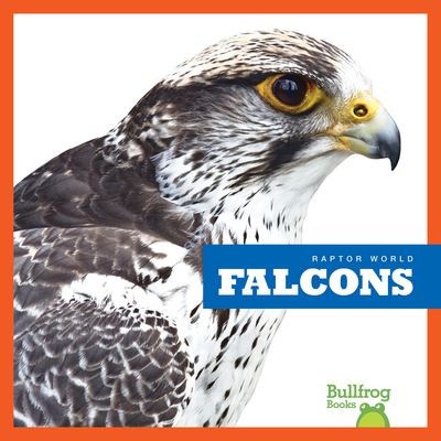 Cover for Jenna Lee Gleisner · Falcons (Paperback Book) (2019)