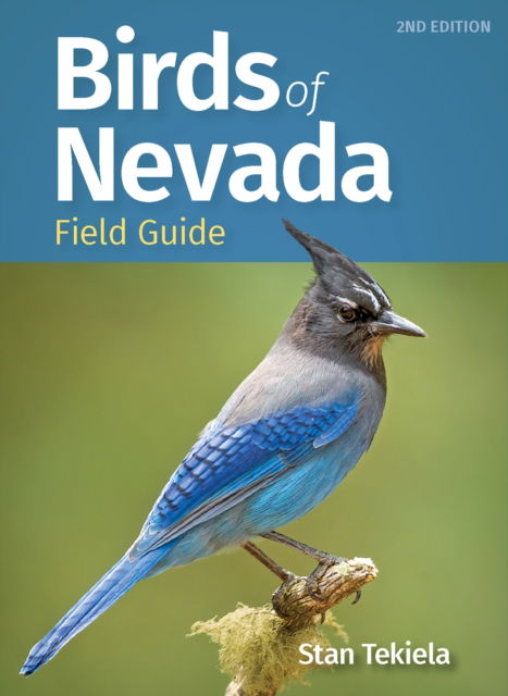 Cover for Stan Tekiela · Birds of Nevada Field Guide - Bird Identification Guides (Taschenbuch) (2024)