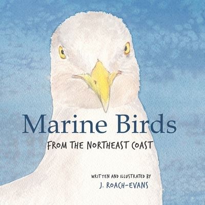Cover for Joanne Roach-Evans · Marine Birds (Paperback Book) (2021)